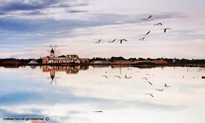 LILYBEO VILLAGE Camping&Residence *** - Marsala - 22