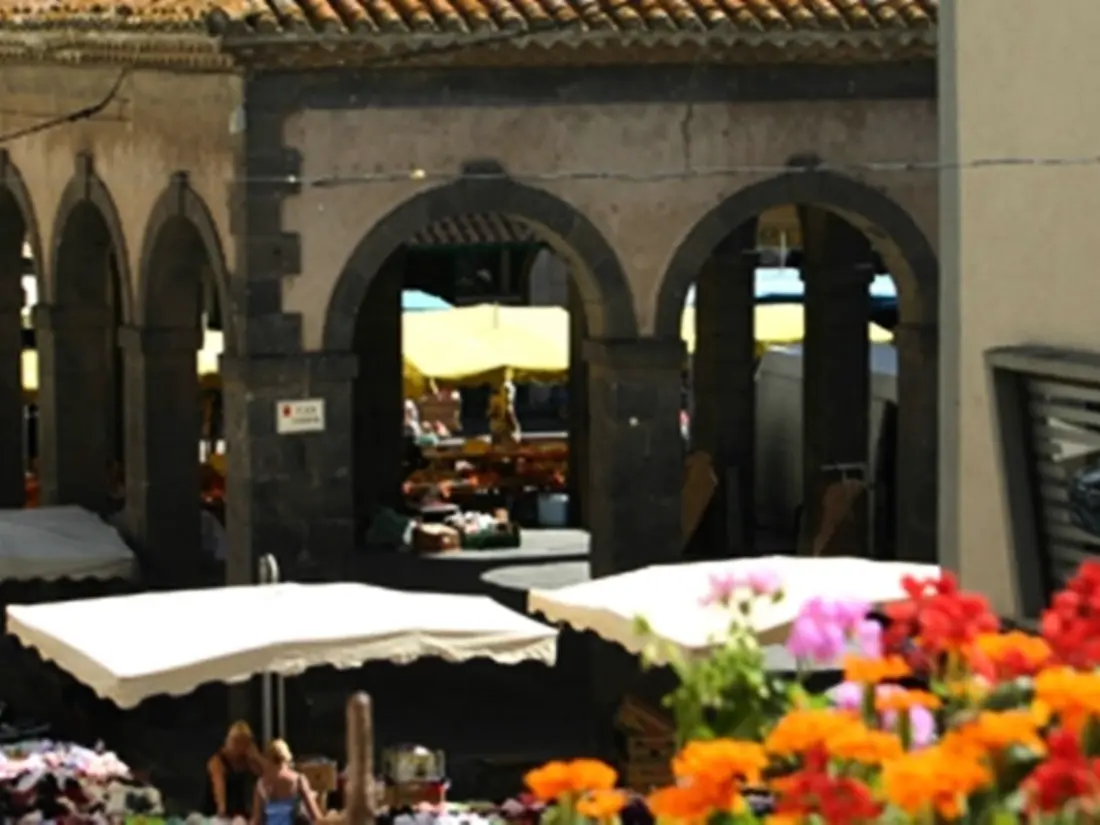 Location de Vacances MARSEILLAN-PLAGE 408