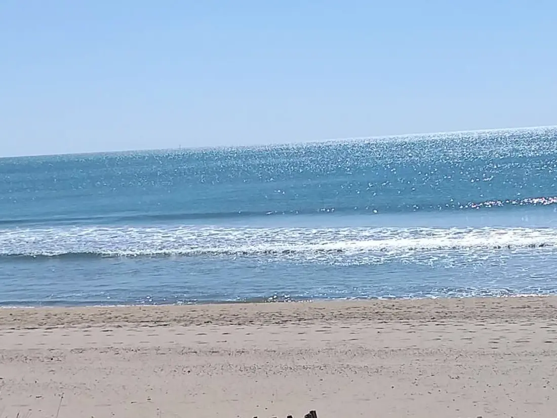 Location de Vacances MARSEILLAN-PLAGE 560