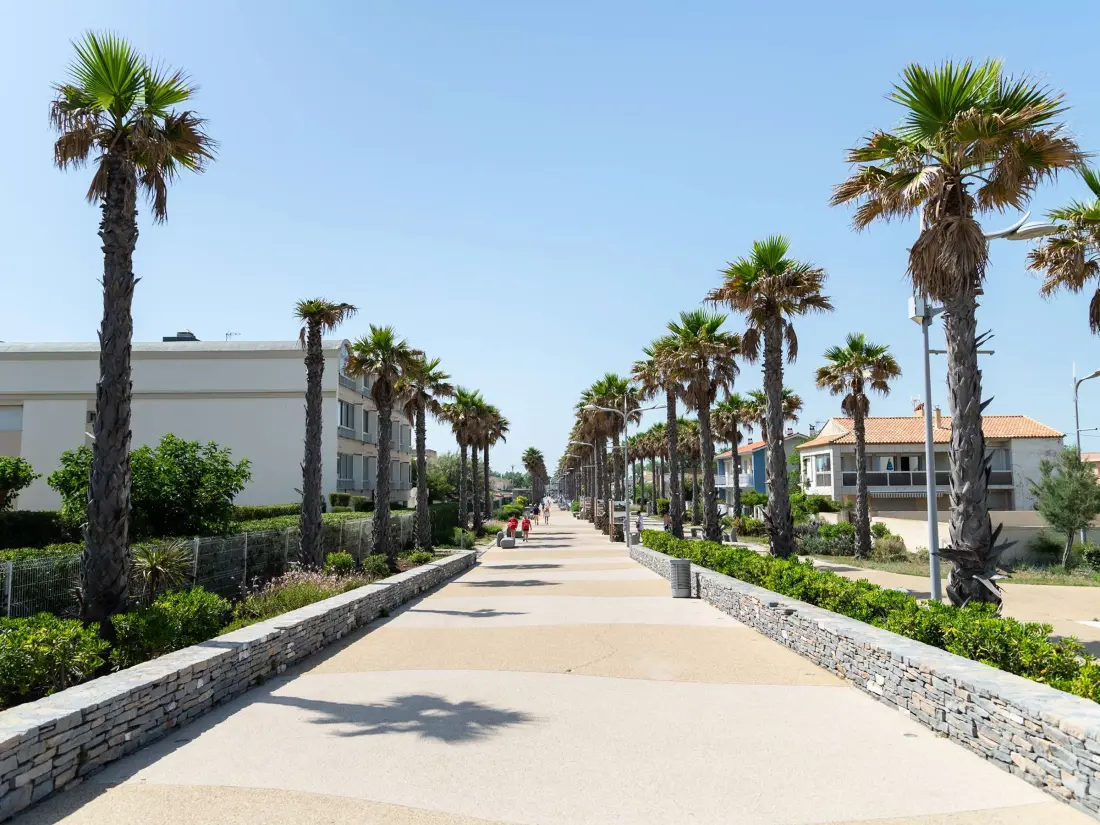 Location de Vacances MARSEILLAN-PLAGE 676