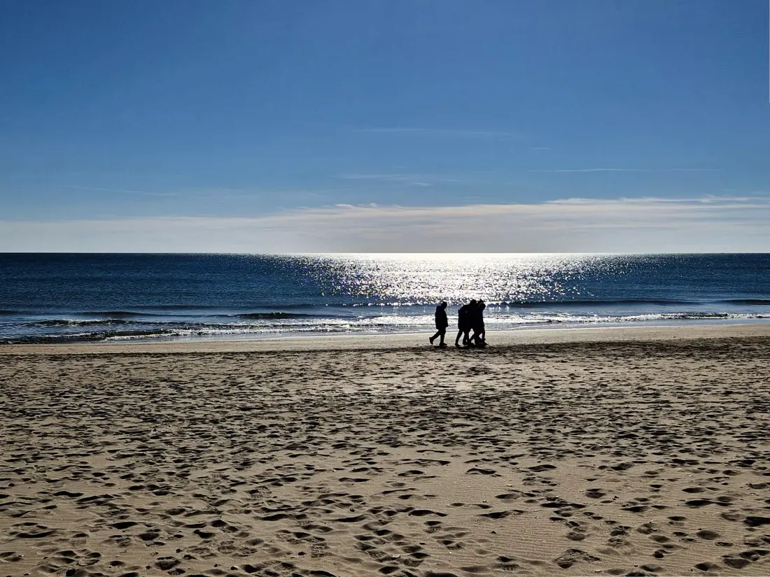 Location de Vacances MARSEILLAN-PLAGE 676