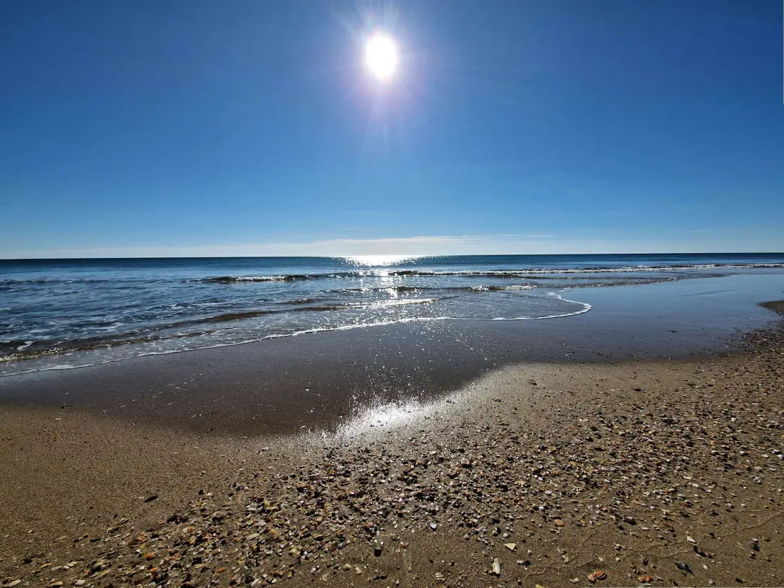 Location de Vacances MARSEILLAN-PLAGE 676