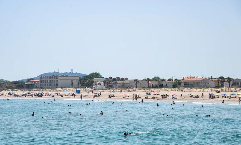 Résidence Clapotis (rés. Les) - - Marseillan Plage - 14