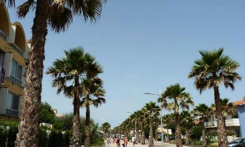 Résidence El Paso Doble (rés.) - - Marseillan Plage - 11