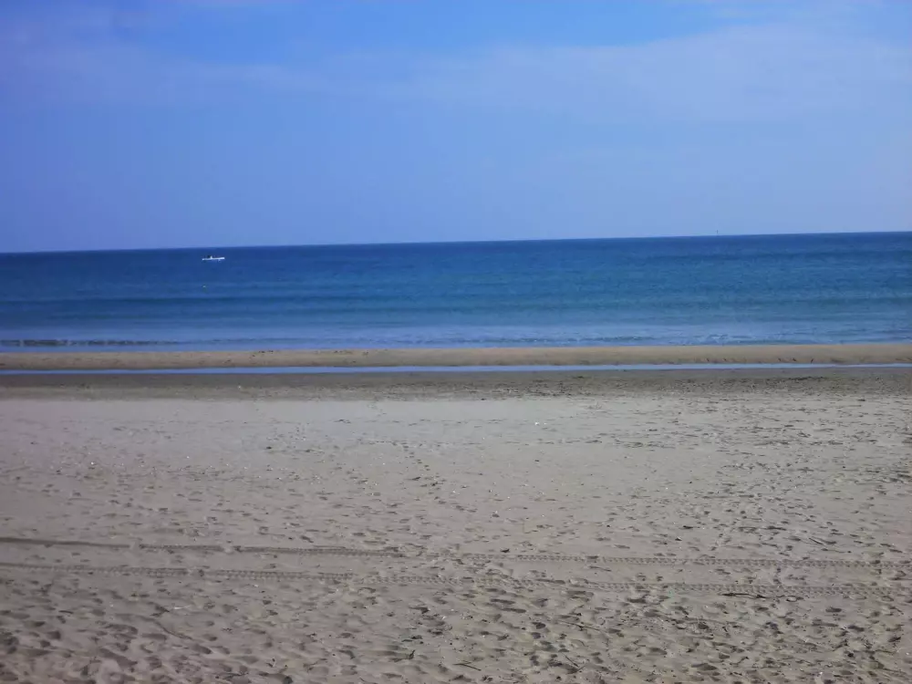 Résidence Villa L'albatros