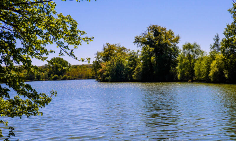 Camping Lac aux Oiseaux**** - - Martiel - 24