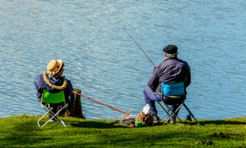 Camping Lac aux Oiseaux**** - - Martiel - 29