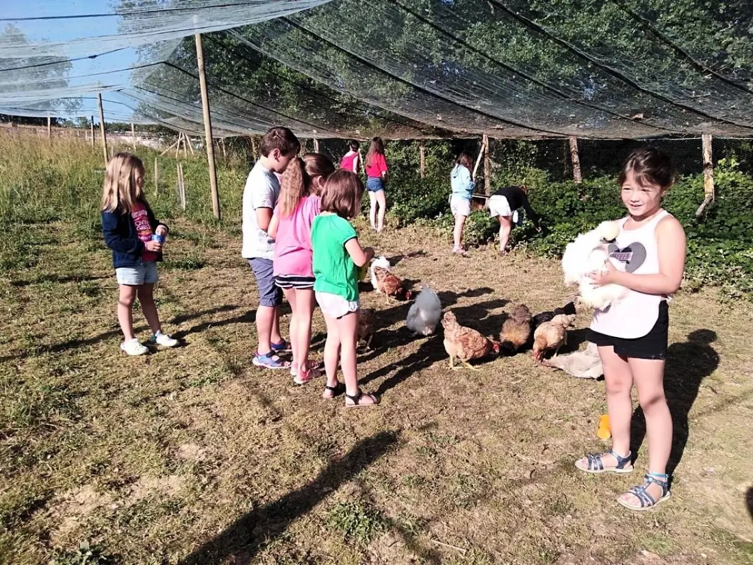 Flower Camping Le Lac aux Oiseaux 4 étoiles★★★★