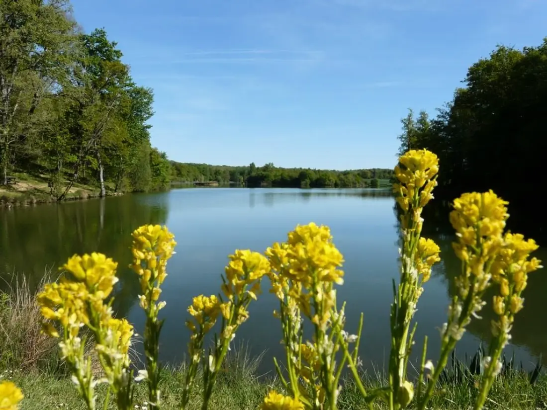 Flower Camping Le Lac aux Oiseaux 4 étoiles★★★★