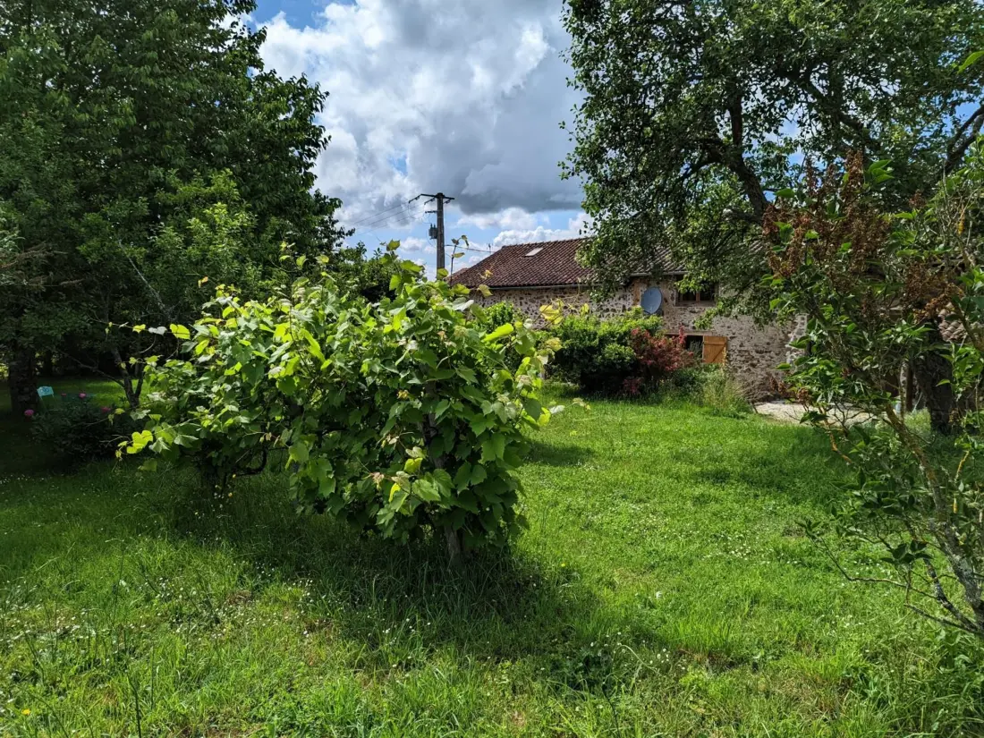 Maison de Vacances Massignac 2