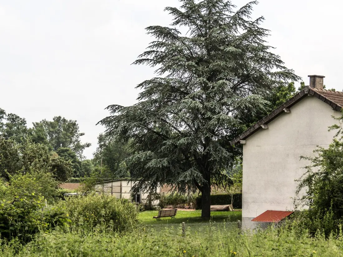 Maison de Vacances Mazirat
