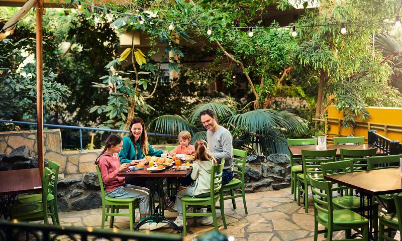 Domaine Park Hochsauerland Center Parcs - Medebach - 20
