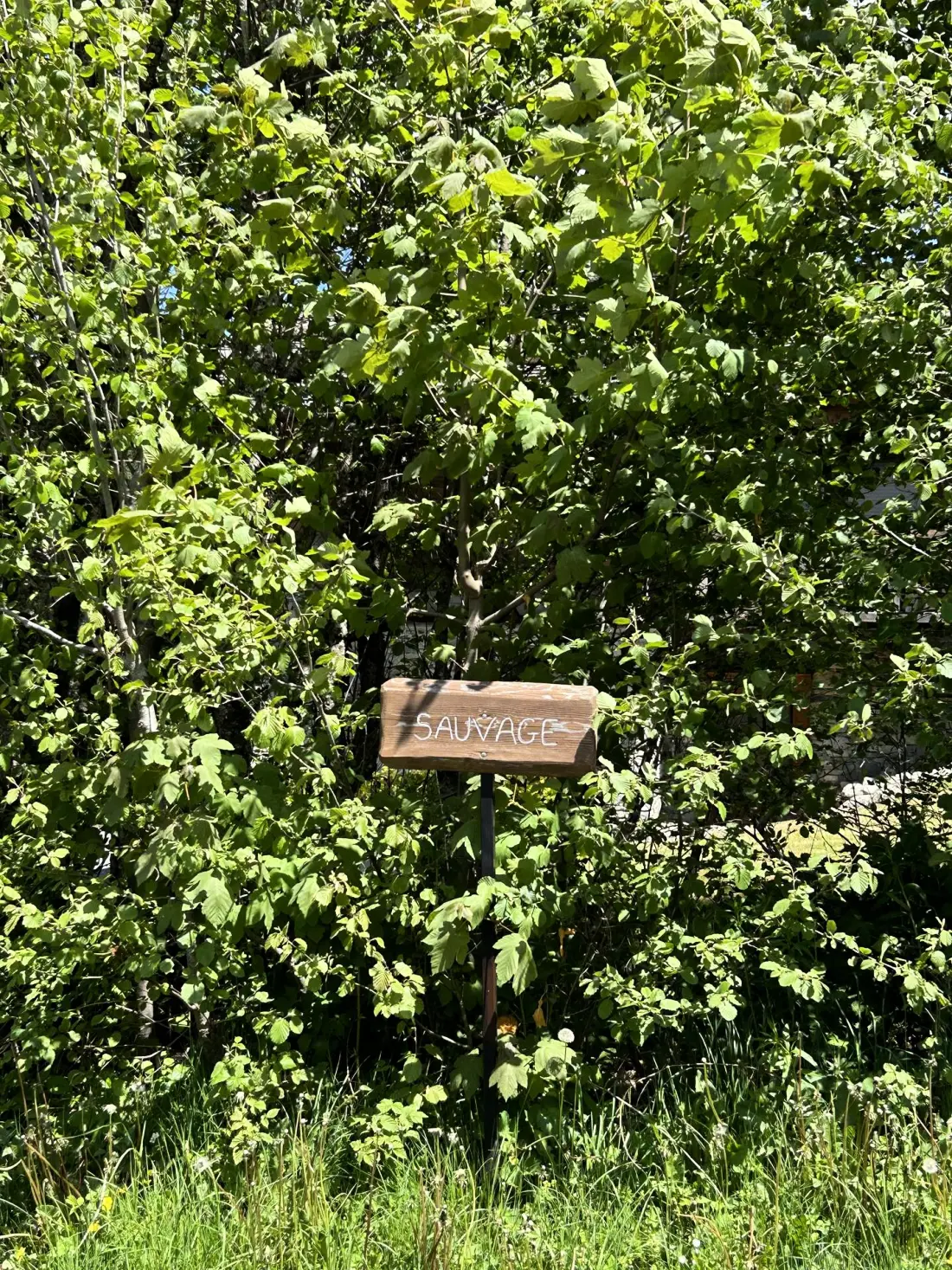 Les Residences Du Planelet