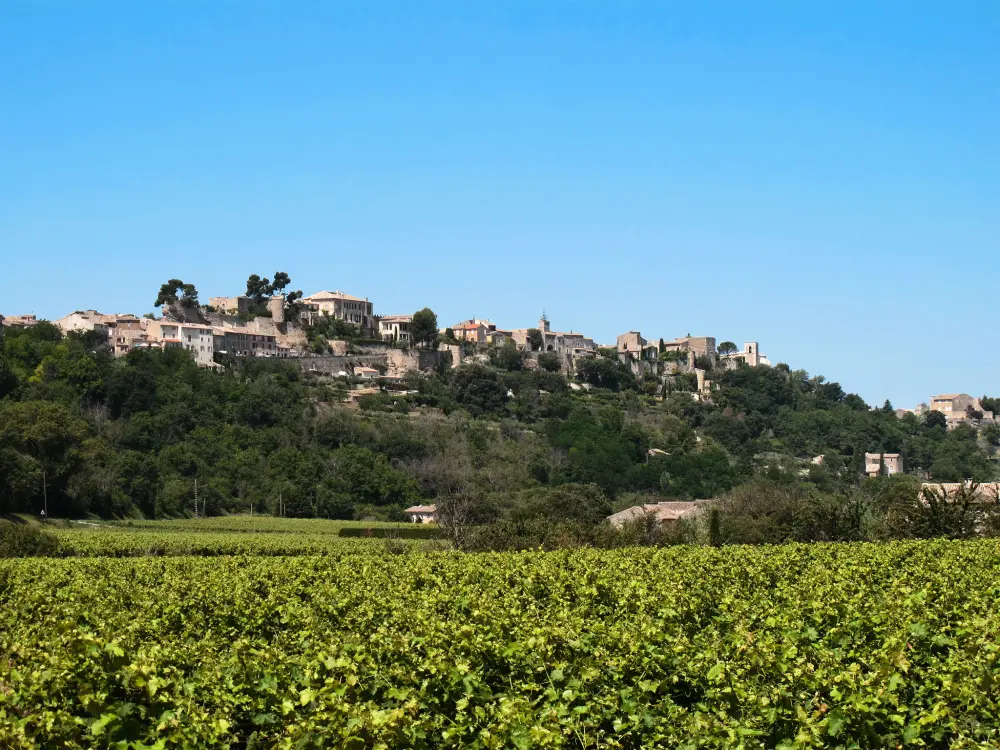 Maison de Vacances Ménerbes