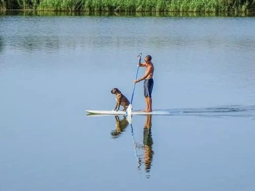 Camping Domaine De L'Ubaye 5 étoiles★★★★★