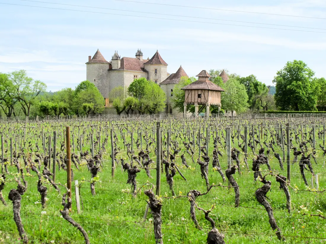 Maison de Vacances Mercuès