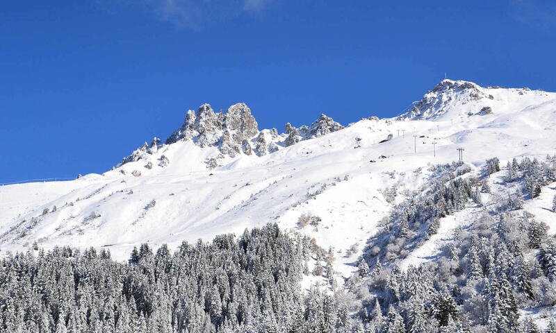 France - Alpes et Savoie - Méribel Mottaret - Residence Ancolies