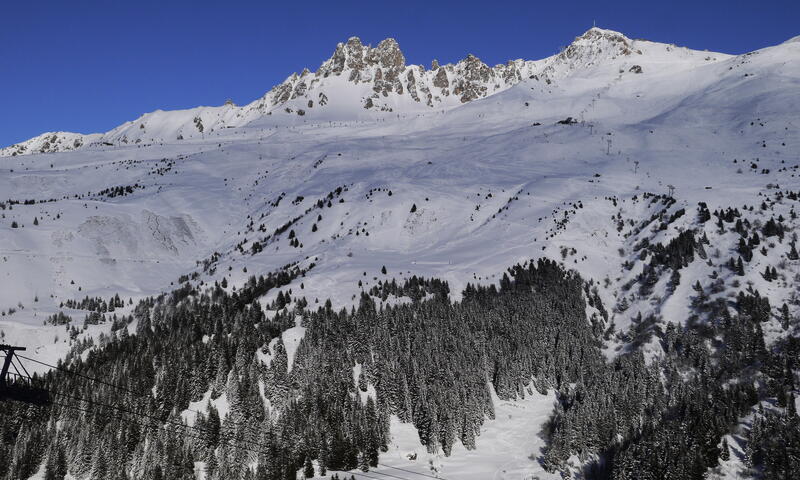 France - Alpes et Savoie - Méribel Mottaret - Résidence Dandy