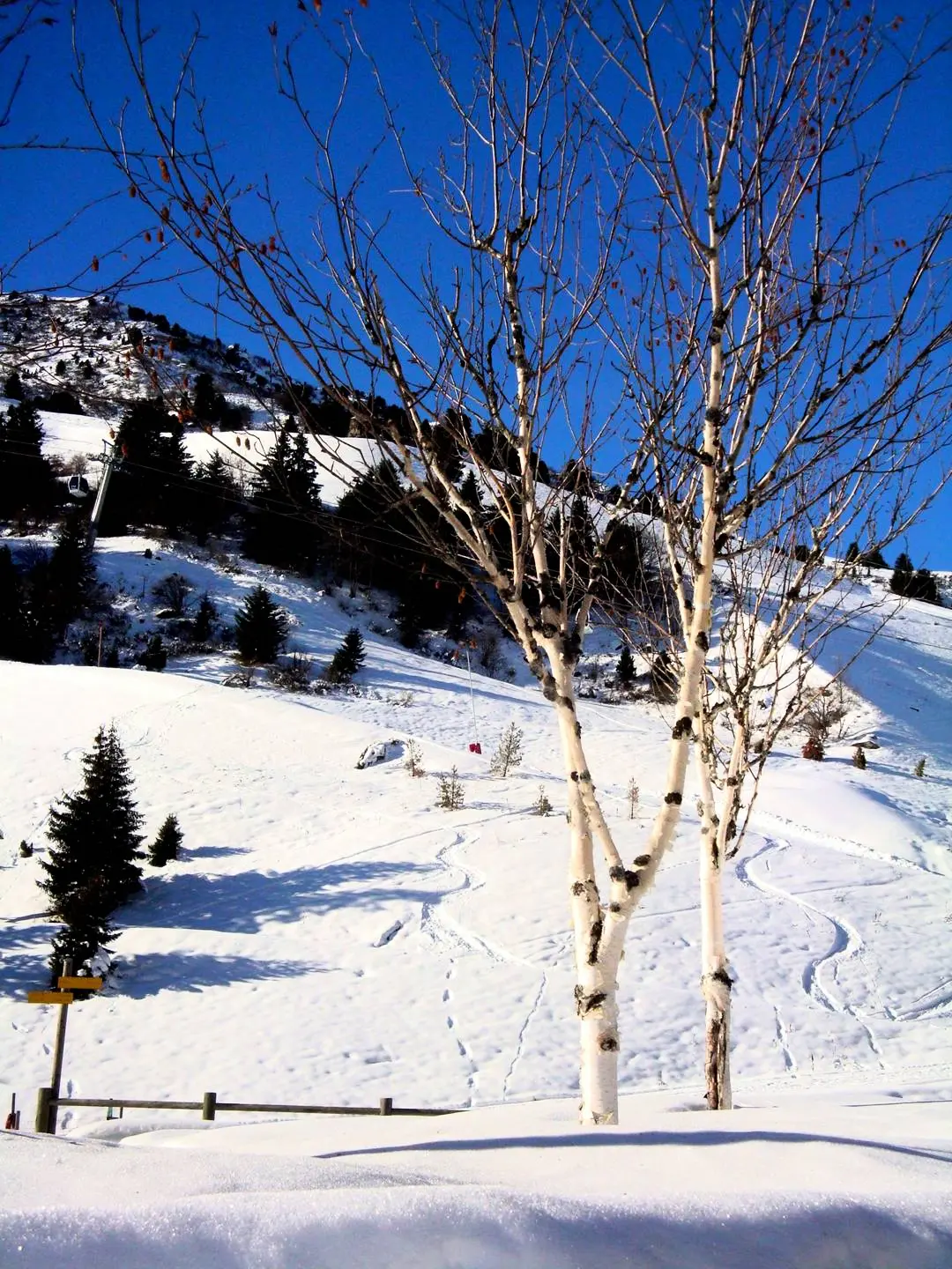 Résidence Lac Blanc