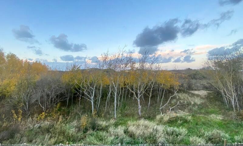 Résidence Cottage Cosy Pour 4 Personnes Avec Accès Aux Dunes - - Merlimont - 37