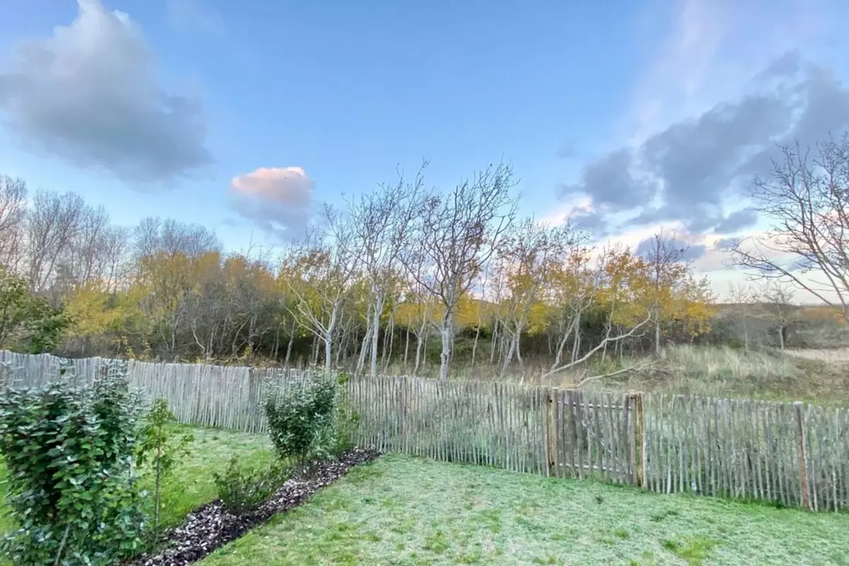 Résidence Superbe Cottage Avec Vue Sur Les Dunes - - Merlimont - 38