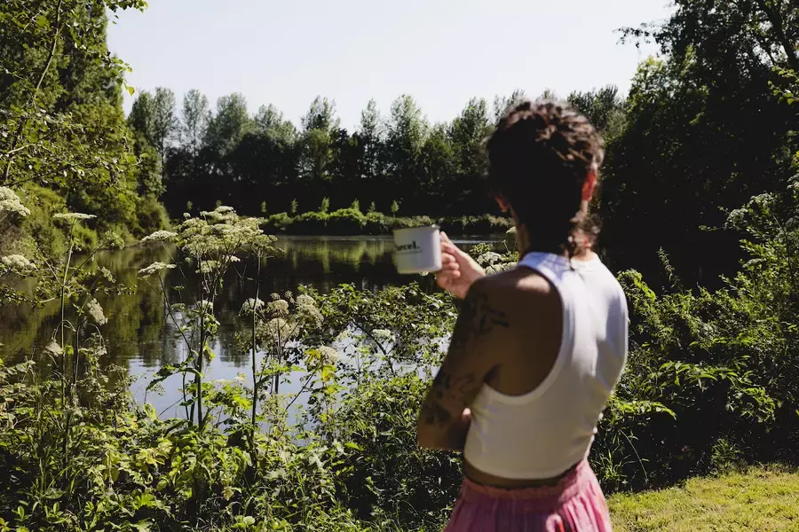 Tiny House : dans le parc d'un château historique en Picardie - 5