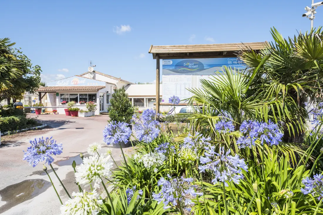 Camping Soleil Levant 4 étoiles★★★★