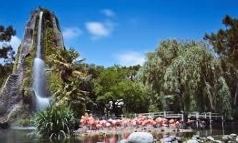 Flower Camping Les Loges ***** - Meschers sur Gironde - 47
