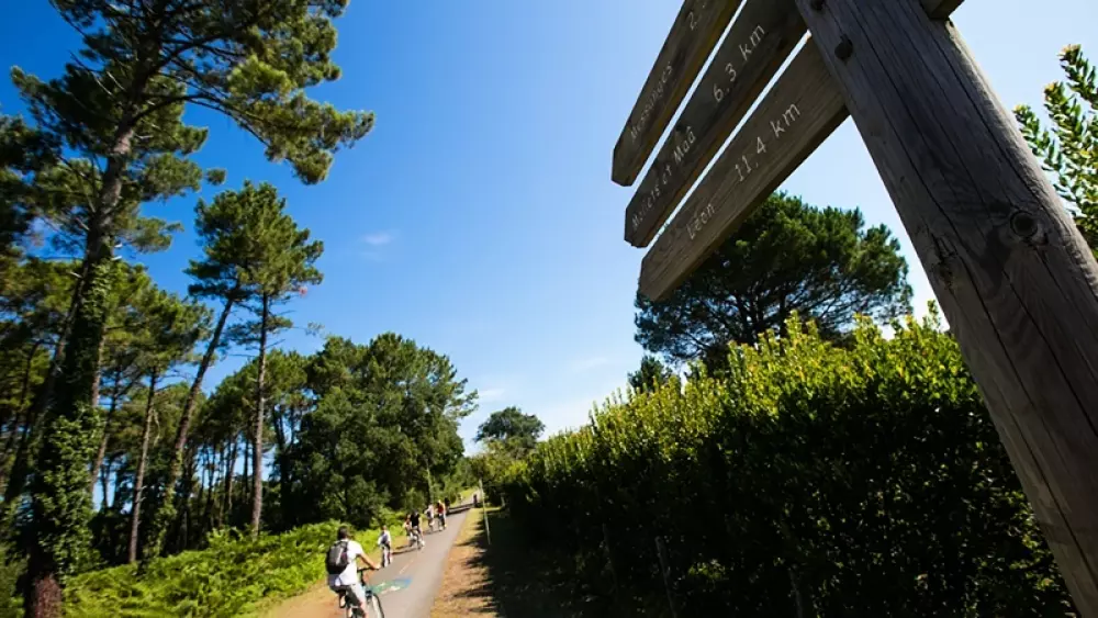 Camping Lou Pignada5 étoiles★★★★★