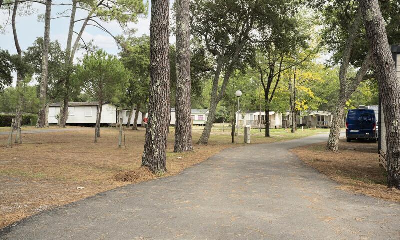 Alpha Camping Holding - Camping Paradis Albret *** - Messanges - Landes - 19