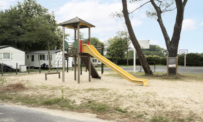 Alpha Camping Holding - Camping Paradis Albret *** - Messanges - Landes - 4
