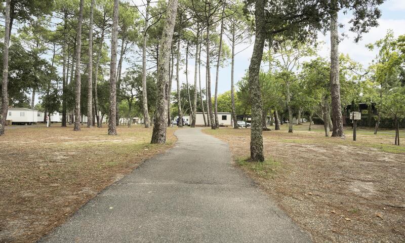 Alpha Camping Holding - Camping Paradis Albret *** - Messanges - Landes - 20