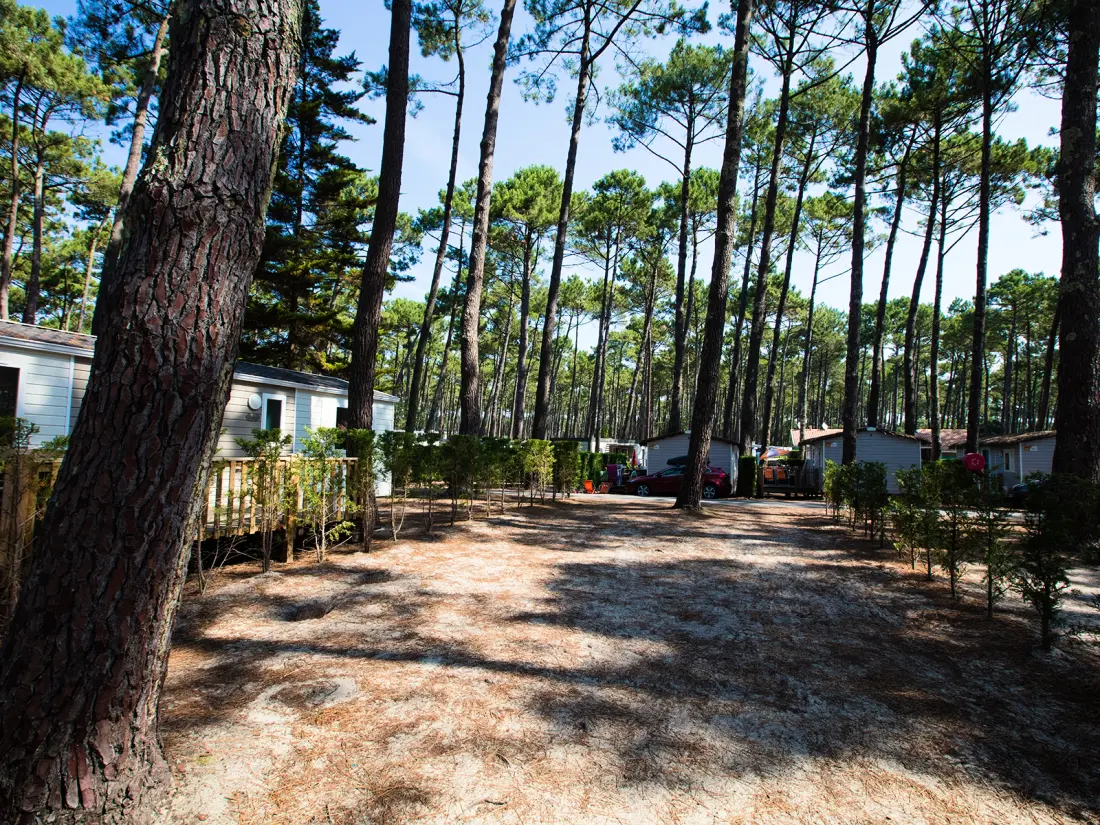 Camping Le Vieux Port 5 étoiles★★★★★