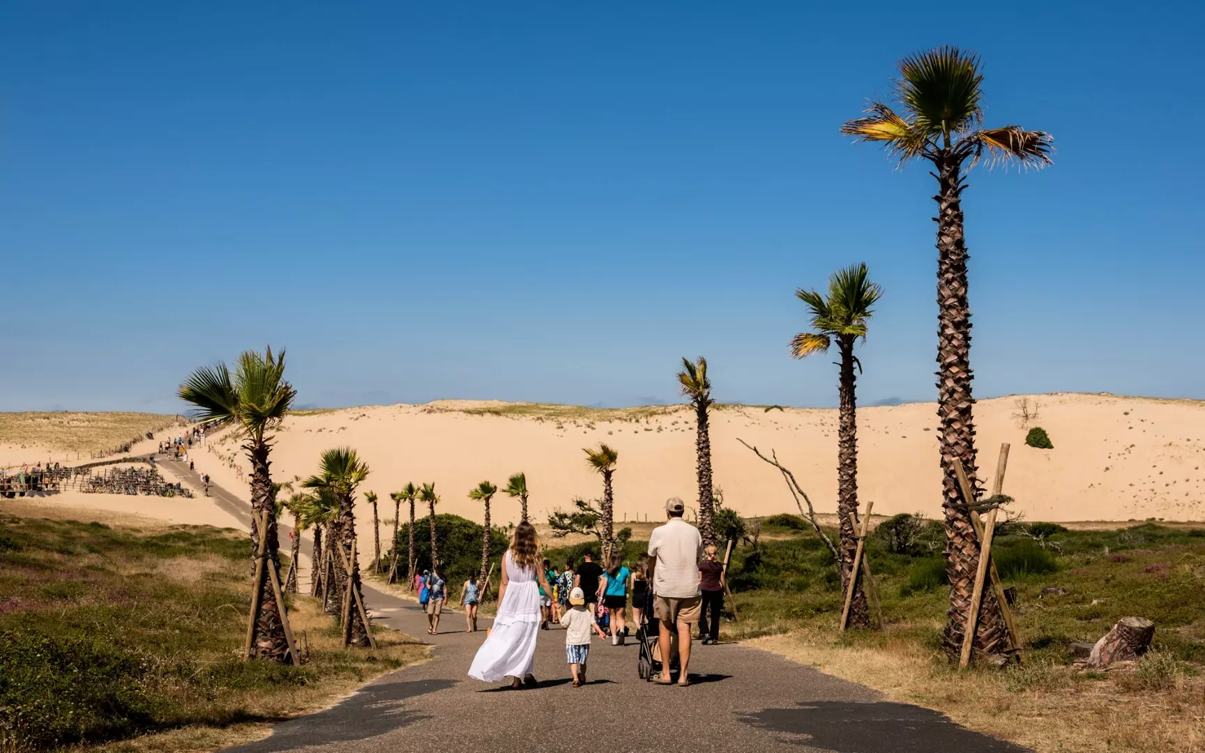 Camping Le Vieux Port ***** - Messanges - Landes - 15