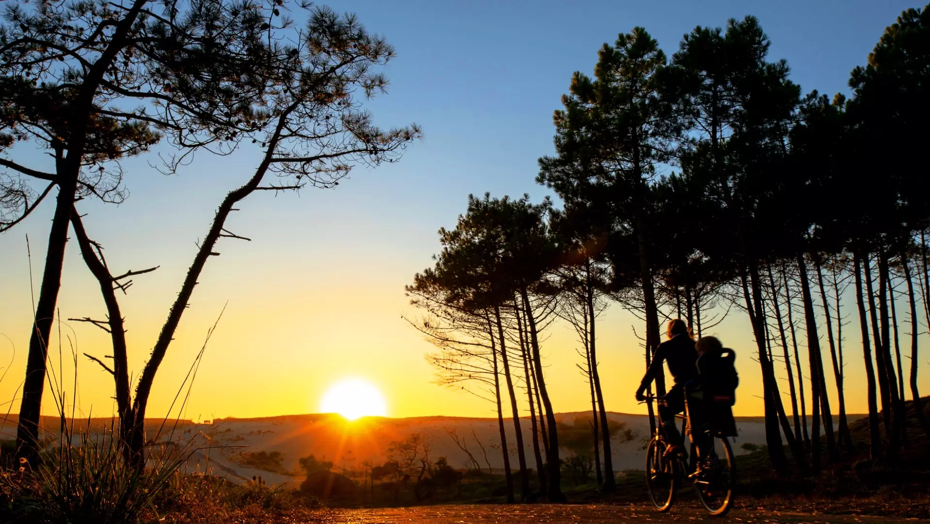 Camping Le Vieux Port ***** - Messanges - Landes - 20