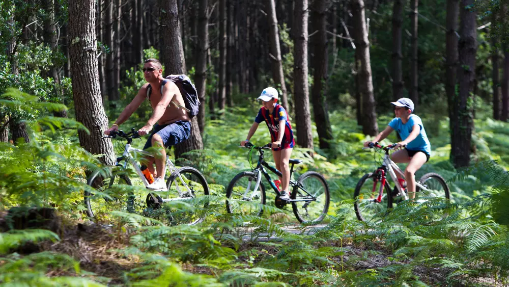 Camping Lou Pignada5 étoiles★★★★★