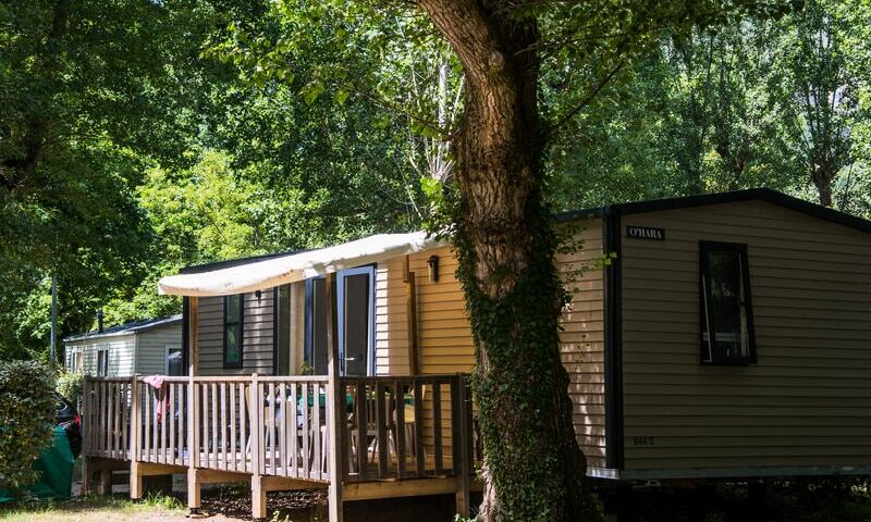 Flower Camping Saint Lambert *** - Millau - 38