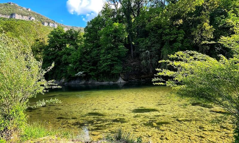 Flower Camping Saint Lambert *** - Millau - 9