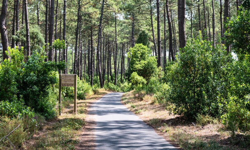 France - Atlantique Sud - Saint Paul en Born - Camping maeva Escapades La Clairière 4*