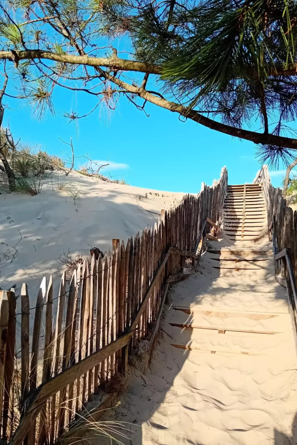 Résidence Les Landaises