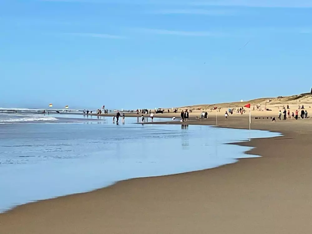 Résidence Les Landaises