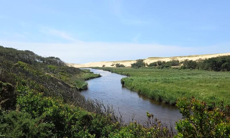 Belle Maison Avec Piscine Et Jardin Près Océan - - Moliets - 33