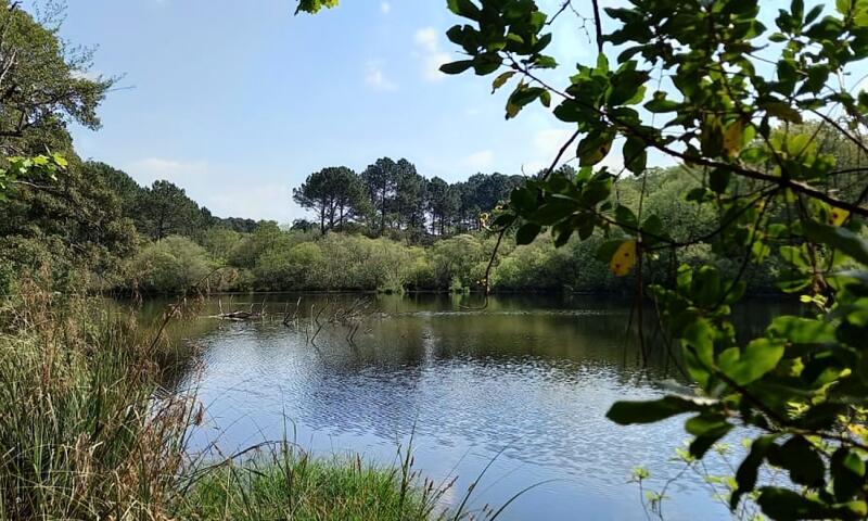 Maison 55 M² Dans Domaine Avec Piscine Et Jardin ! - - Moliets - 19