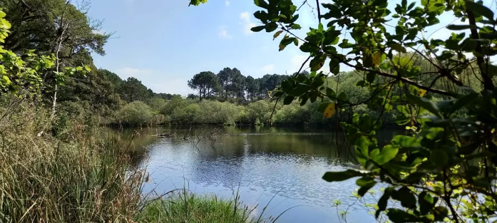 Superbe Appartement Avec Loggia Proche Plage ⛱