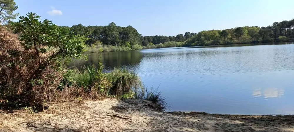 Superbe Appartement Avec Loggia Proche Plage ⛱