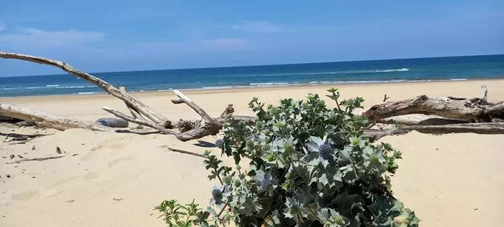 Superbe Appartement Avec Loggia Proche Plage ⛱