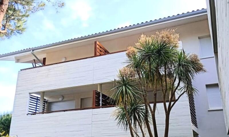 Superbe Appartement Avec Terrasse Proche Plage ⛱ - - Moliets - 13