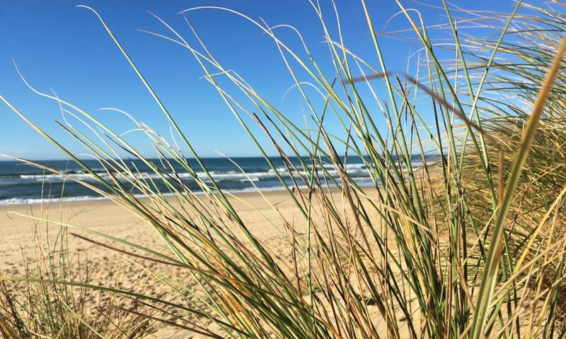 Superbe Appartement Avec Terrasse Proche Plage ⛱ - - Moliets - 25