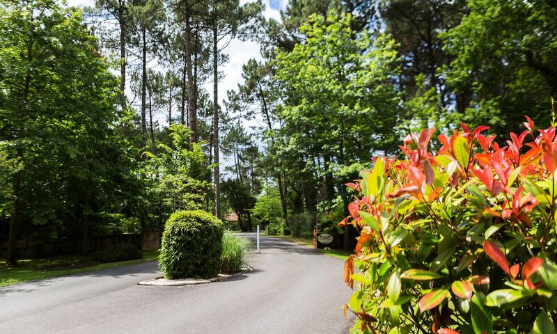 France - Atlantique Sud - Moliets - Villas La Clairière aux Chevreuils