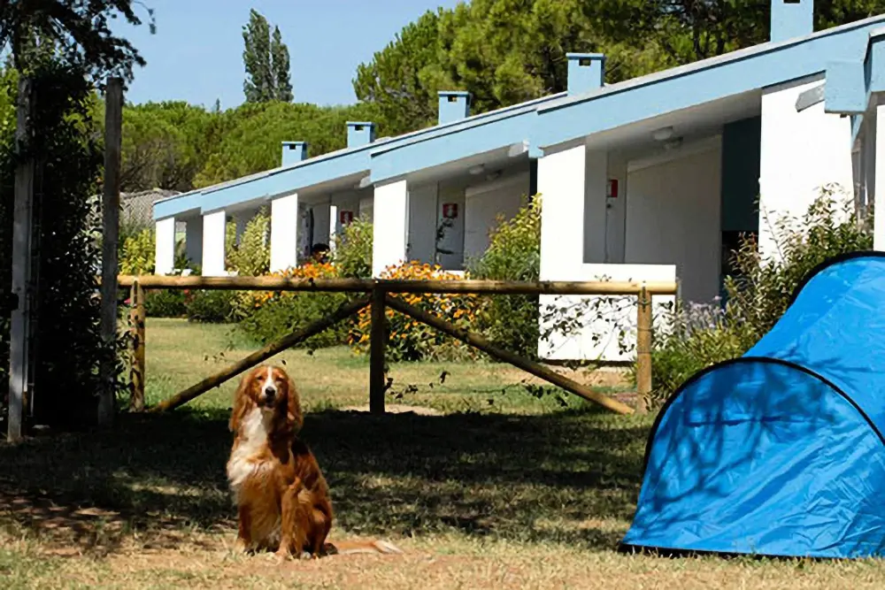 Club del Sole Marina Julia Family Collection 3 étoiles★★★